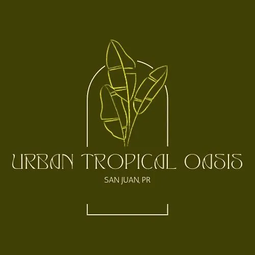 Urban Tropical Oasis In San Juan Daire
